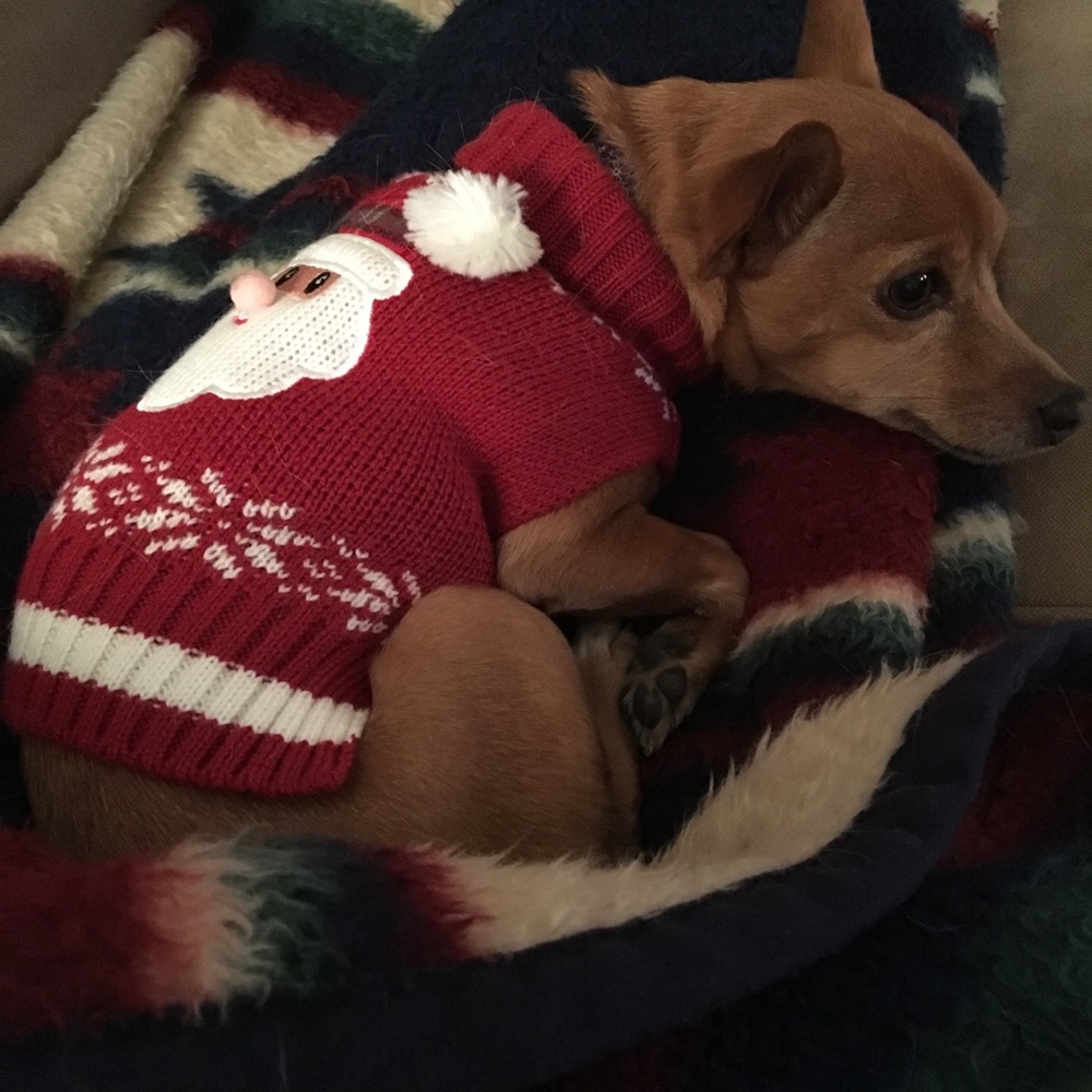 Why does Mom make me wear these sweaters?